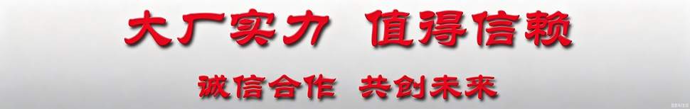 大廠實力